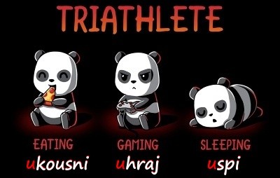 triathlete_go3.jpg